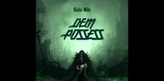 Shatta Wale – Dem Possess