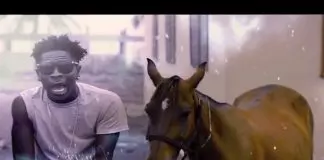 Shatta Wale – Mr Bad Mind