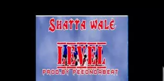Shatta Wale – Level