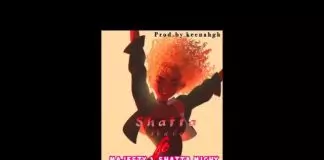 Shatta Wale ft. Majesty & Shatta Michy – Go Shordy