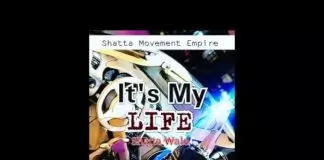 Shatta Wale – It’s My Life