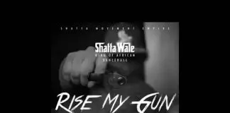 Shatta Wale – Rise My Gun