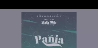 Shatta Wale – Pañia
