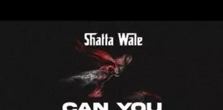 Shatta Wale – Can You