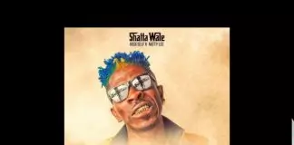 Shatta Wale ft. Addi Self & Natty Lee – True Believer