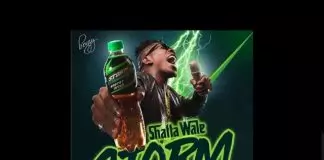 Shatta Wale – Storm