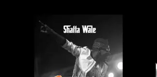 Shatta Wale – Performer