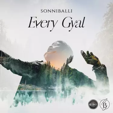 When You're Gone - Sonniballi | Shazam