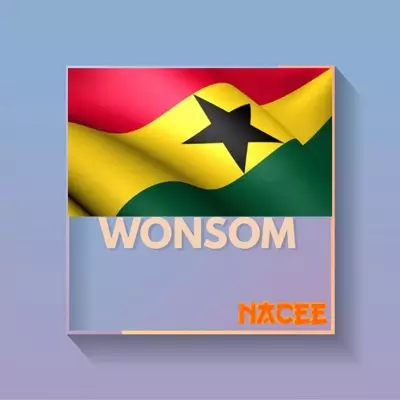 Wonsom - Nacee | Shazam