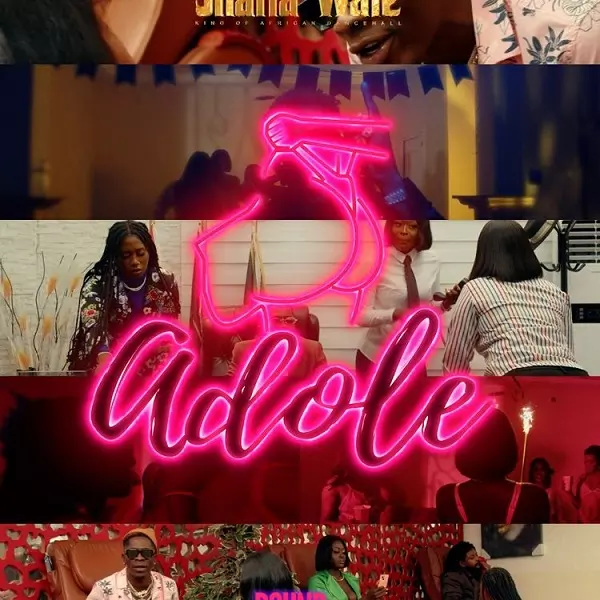 Shatta Wale – Adole Mp3 Download | NaijaVibes