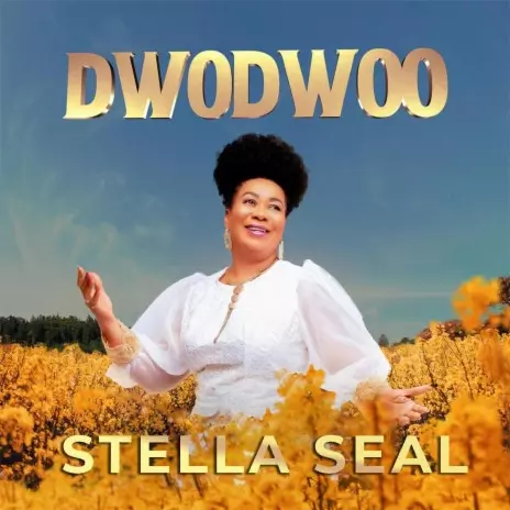DWODWOO - Stella Seal MP3 download | DWODWOO - Stella Seal Lyrics | Boomplay Music