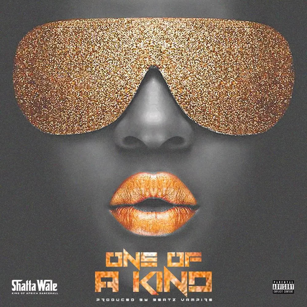 ONE OF A KIND by SHATTA WALE: Listen on Audiomack