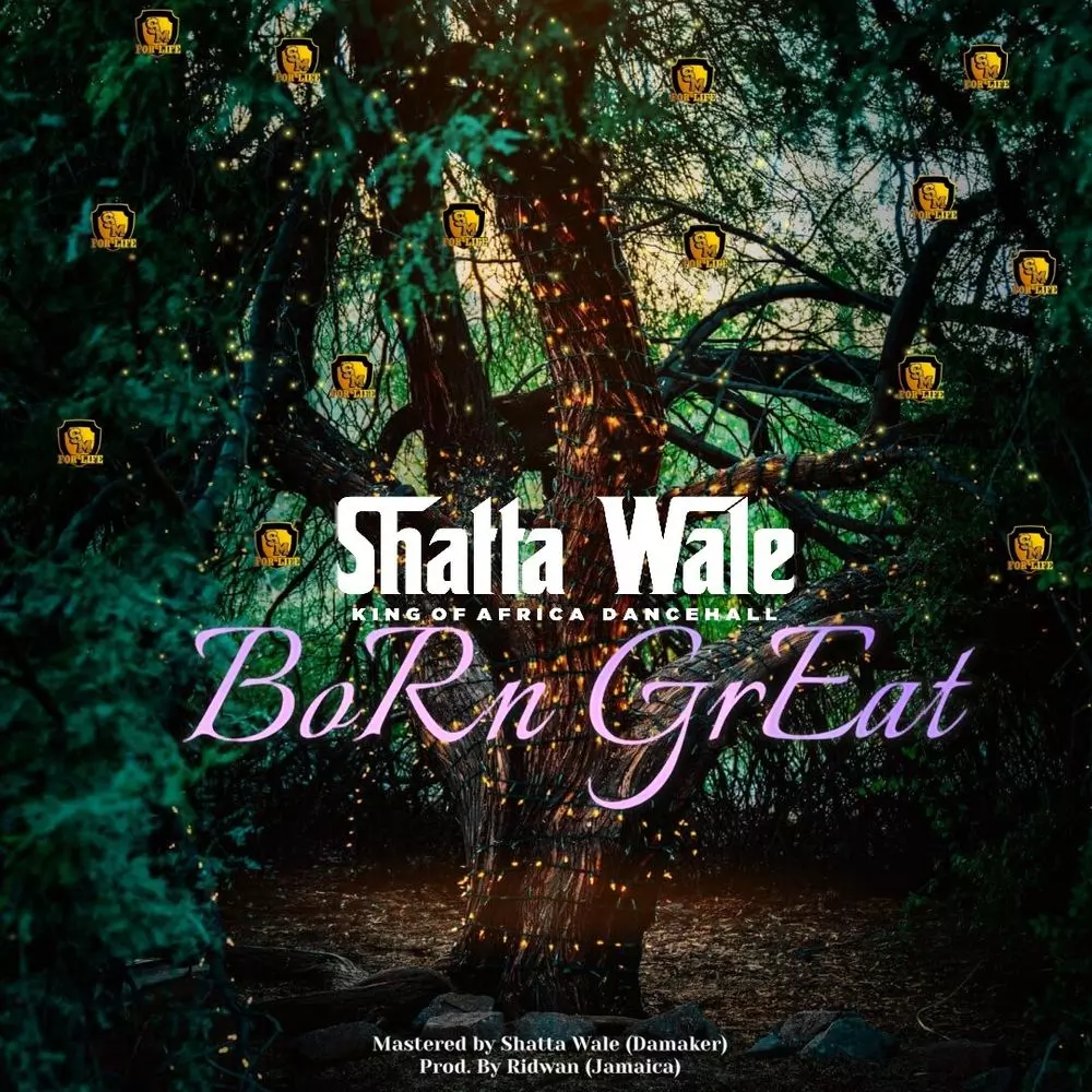 BORN GREAT by SHATTA WALE: Listen on Audiomack