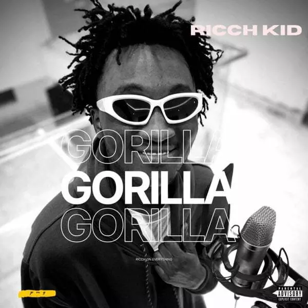 Gorrila - Single by RICCH KID on Apple Music