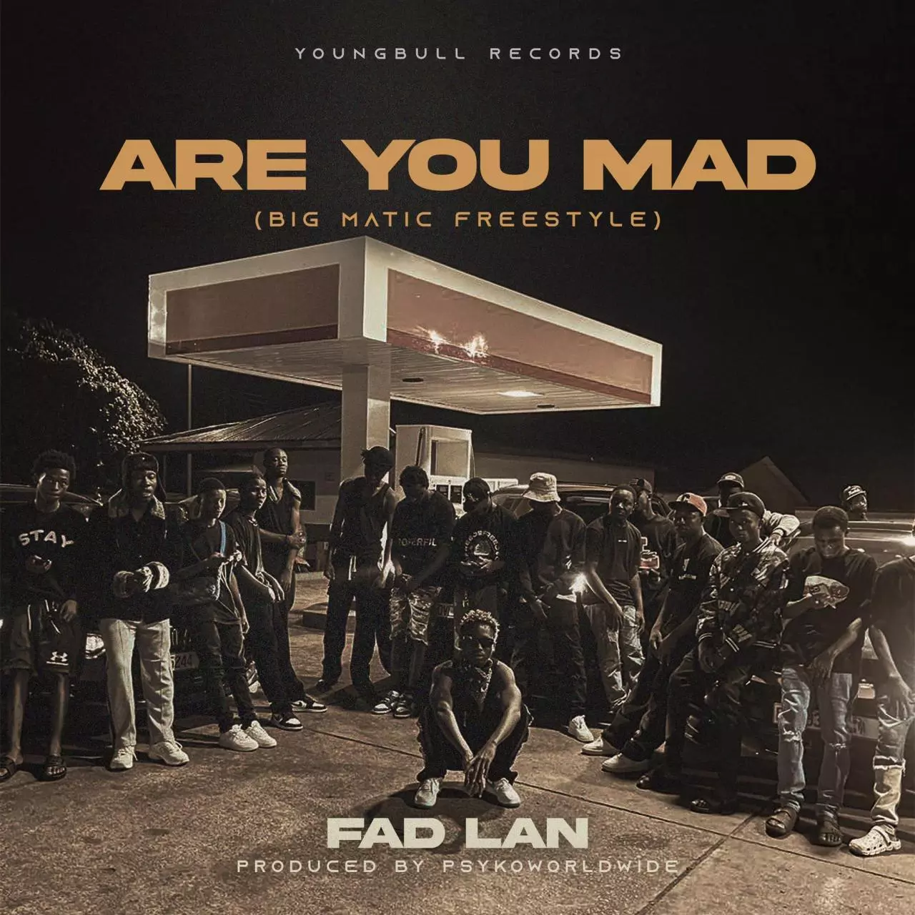 Fad Lan - ARE YOU MAD (Big Matic Freestyle)