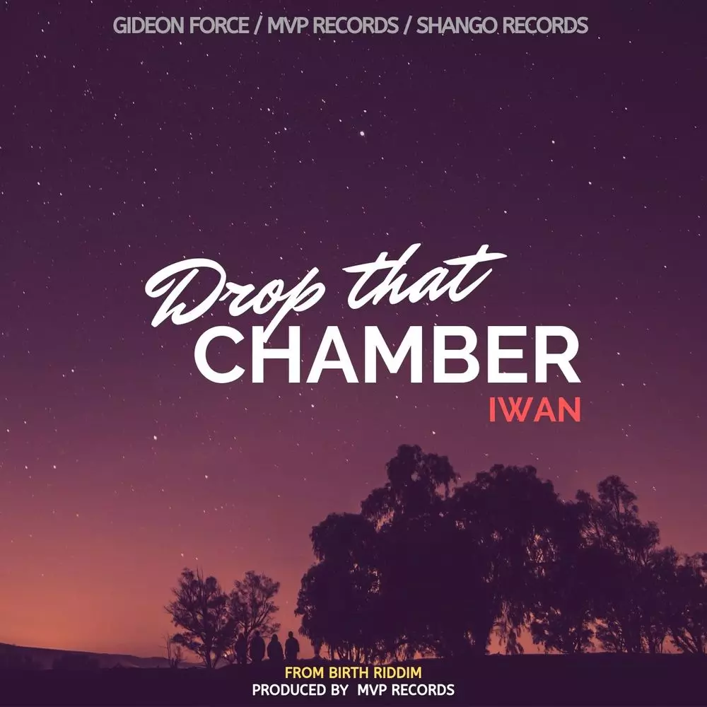 Drop That Chamber by IWAN: Listen on Audiomack