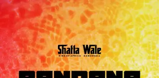Shatta Wale – Bandana