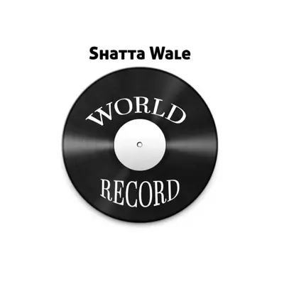 World Record - Shatta Wale | Shazam