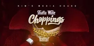 Shatta Wale – Choppings Choppings by Shatta Wale: Listen on Audiomack