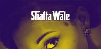 Shatta Wale – Be My Bae Be My Bae - Single by Shatta Wale | Spotify