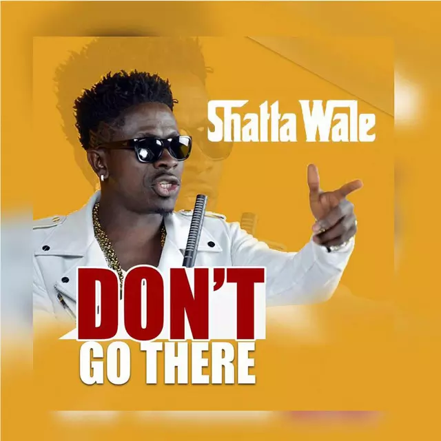 Don't Go There - Single by Shatta Wale | Spotify