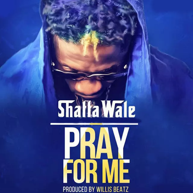 Pray for Me - song and lyrics by Shatta Wale | Spotify