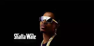 Shatta Wale – Holiday Holiday - Single by Shatta Wale | Spotify