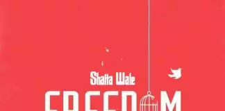 Shatta Wale – Freedom Freedom - song and lyrics by Shatta Wale | Spotify