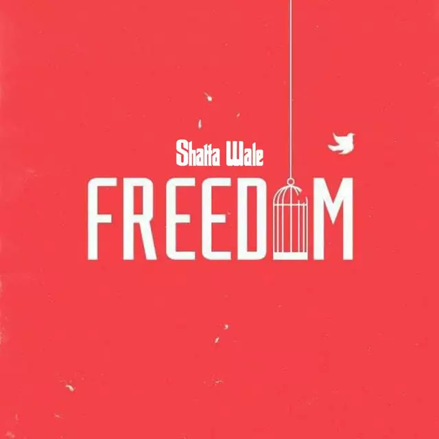 Freedom - song and lyrics by Shatta Wale | Spotify