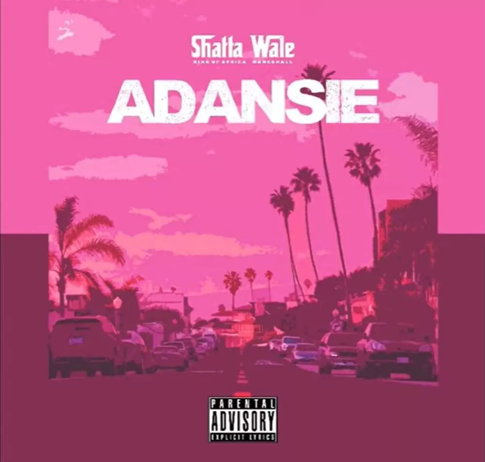 Adansi3 (Testimony) by Shatta Wale: Listen on Audiomack