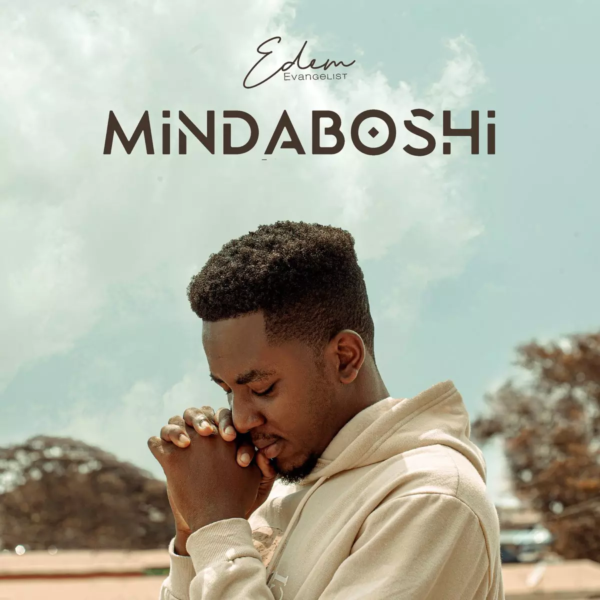 Mindaboshi - Single by Edem Evangelist on Apple Music