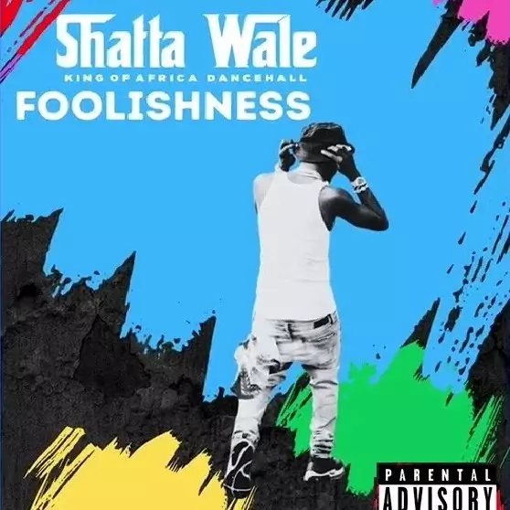 Shatta Wale – Foolishness | MP3 Download