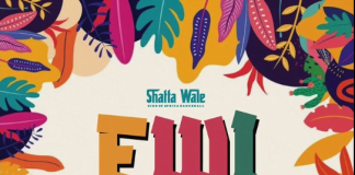 Shatta Wale ft. Medikal – Ewi (Thief)