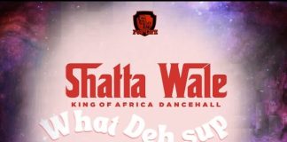 Shatta Wale – What Deh Sup