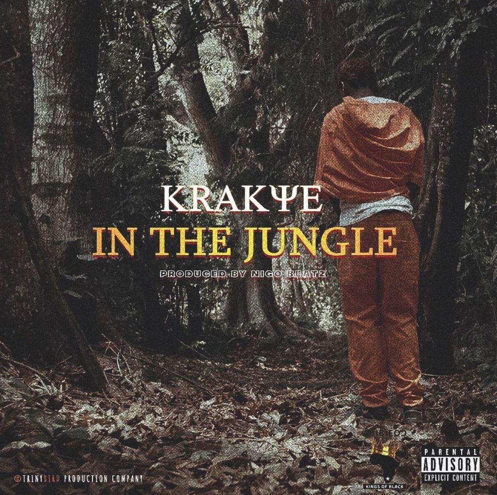 In The Jungle by Asomacy: Listen on Audiomack
