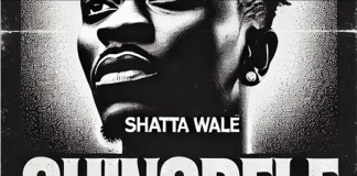 Shatta Wale – Shingbele