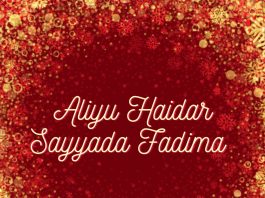 Aliyu Haidar (Siradal Mustaqeem) - Single by Arewa Sound on Apple Music