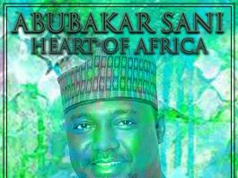 Heart of Africa, Vol. 1 by Abubakar Sani on Apple Music