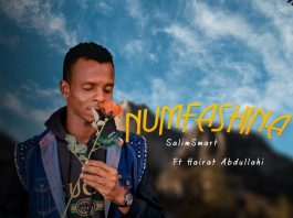 Numfashina (feat. Hairat Abdullahi) - Single by Salim Smart on Apple Music