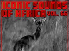 Iconic Sounds of Africa, Vol. 66 - EP by Hamisu Breaker on Apple Music