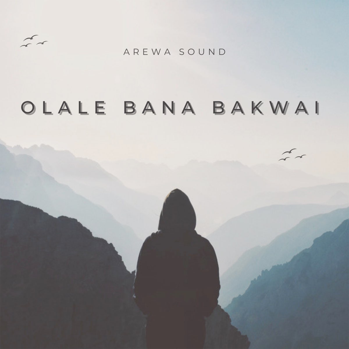 Olale Bana Bakwai - Single by Arewa Sound on Apple Music