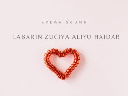 Labarin Zuciya Aliyu Haidar - Single de Arewa Sound en Apple Music