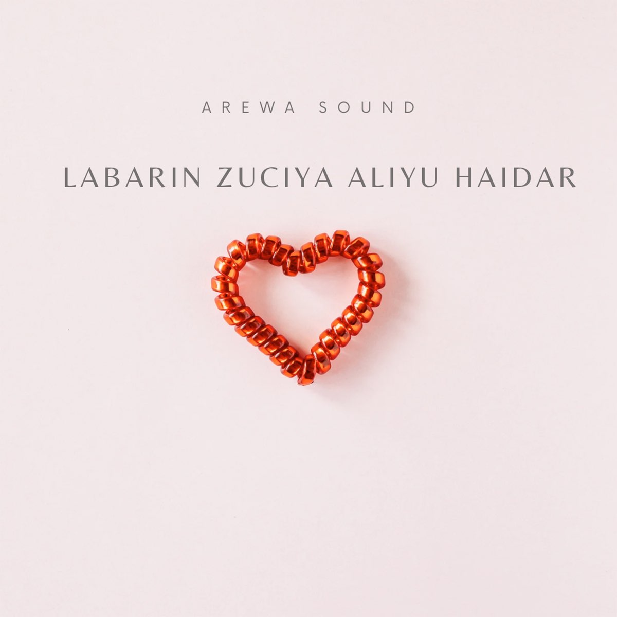 Labarin Zuciya Aliyu Haidar - Single de Arewa Sound en Apple Music