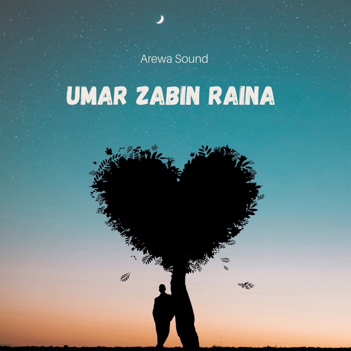 Umar Zabin Raina - Single by Arewa Sound on Apple Music