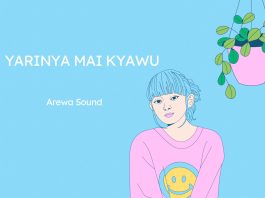 Yarinya Mai Kyawu - Single by Arewa Sound on Apple Music