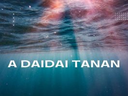 A Daidai Tanan - Single by Arewa Sound on Apple Music