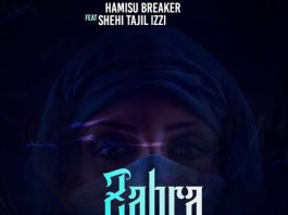 ‎Zahra Umma (feat. Shehi Tajul Izzi) - EP by Hamisu Breaker on Apple Music
