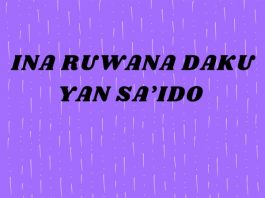 Ina Ruwana Daku Yan Sa'ido - Single by Arewa Sound on Apple Music