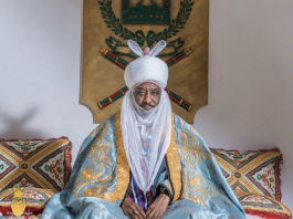 Sanusi Lamido: Biography, career, achievements, controversies, net worth