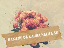 Nakamu Da Kauna Halifa Sk - Arewa Sound MP3 download | Nakamu Da Kauna Halifa Sk - Arewa Sound Lyrics | Boomplay Music